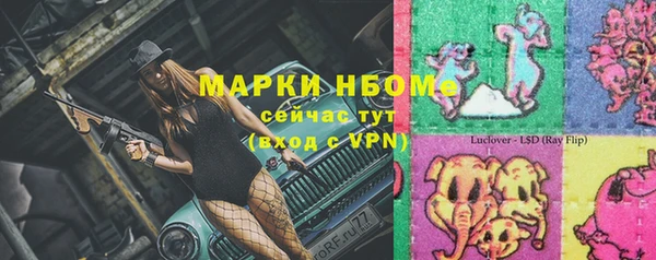 гашик Аркадак